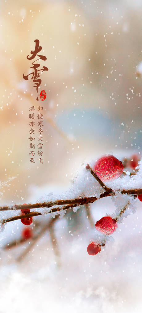源文件下載【大雪節(jié)氣海報(bào)】編號：81490007301062942