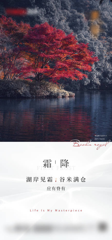 源文件下载【霜降节气移动端海报】编号：67510007134236286