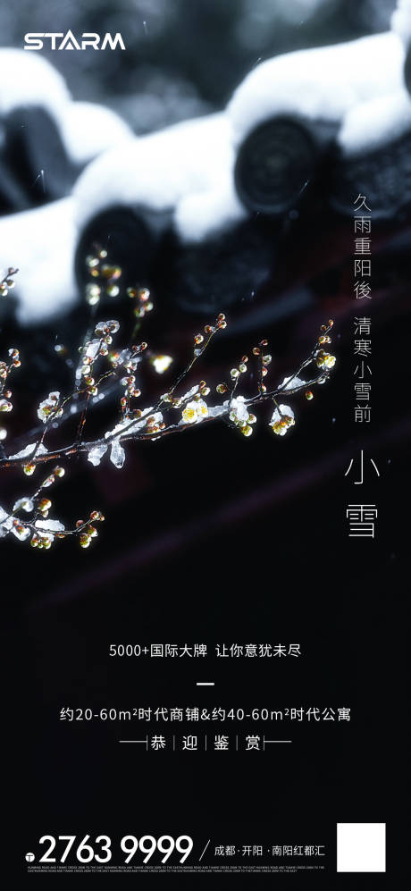 源文件下載【地產小雪節氣海報】編號：90160007191524154