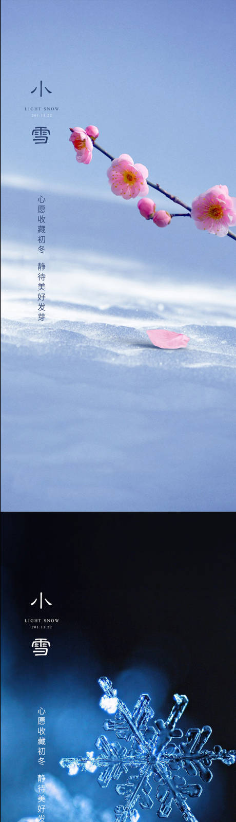 源文件下载【小雪节气系列海报】编号：22600007266055890