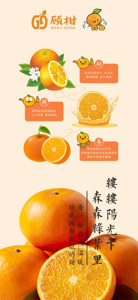 源文件下载【柑桔宣传海报】编号：41920007296739548