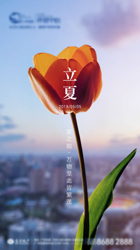 源文件下载【立夏节气海报】编号：33560007398406299