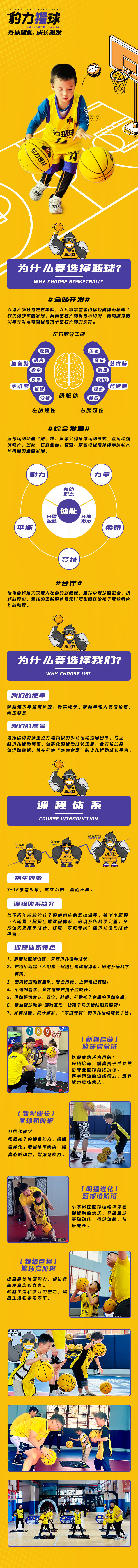 源文件下载【篮球课程培训海报长图】编号：62300007170336722