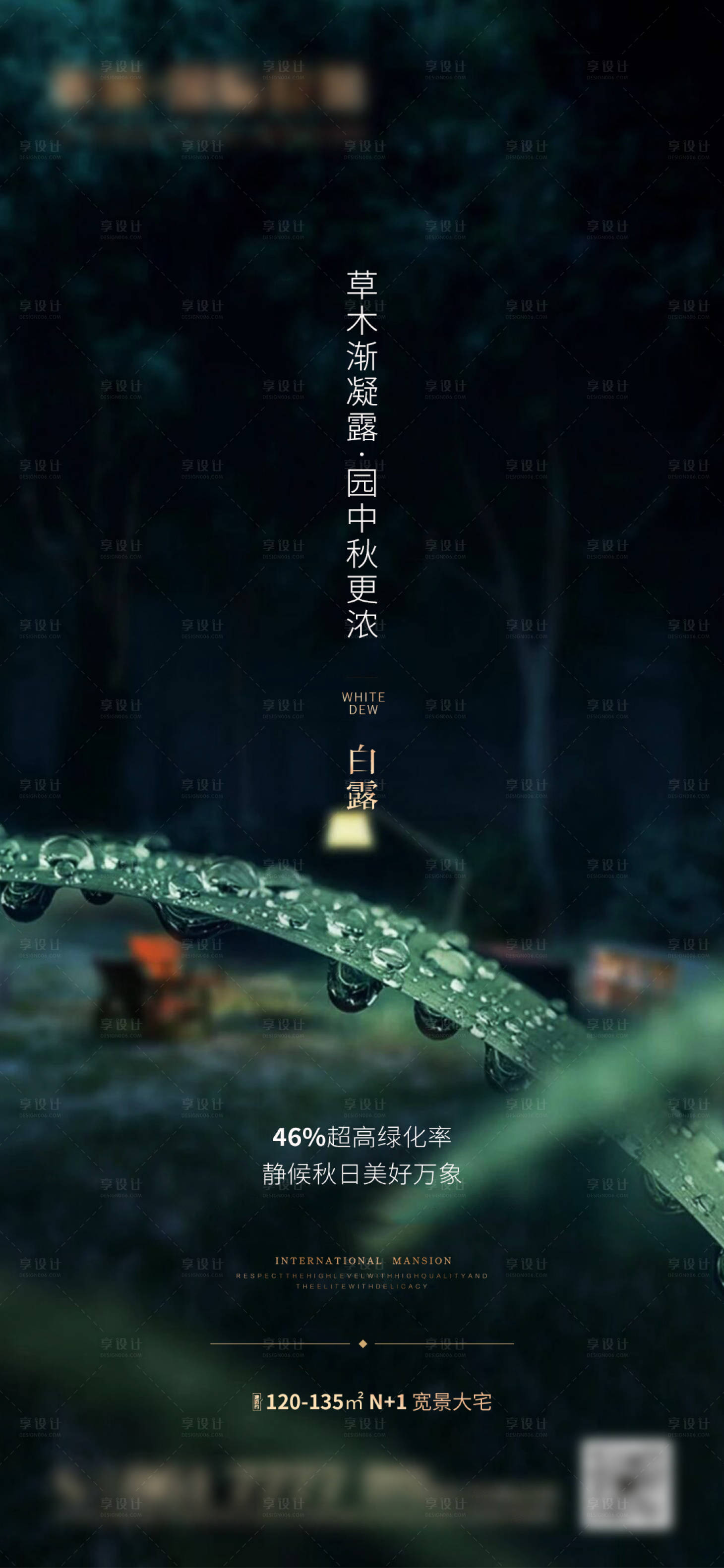 源文件下载【白露节气海报】编号：40350007141751524