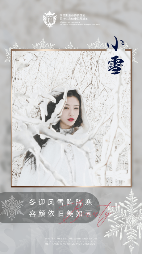 源文件下载【医美小雪节气海报】编号：84190007112165660