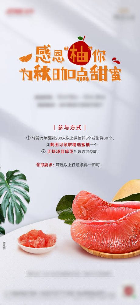 源文件下载【秋日蜜柚大派送活动海报】编号：94360007074652447
