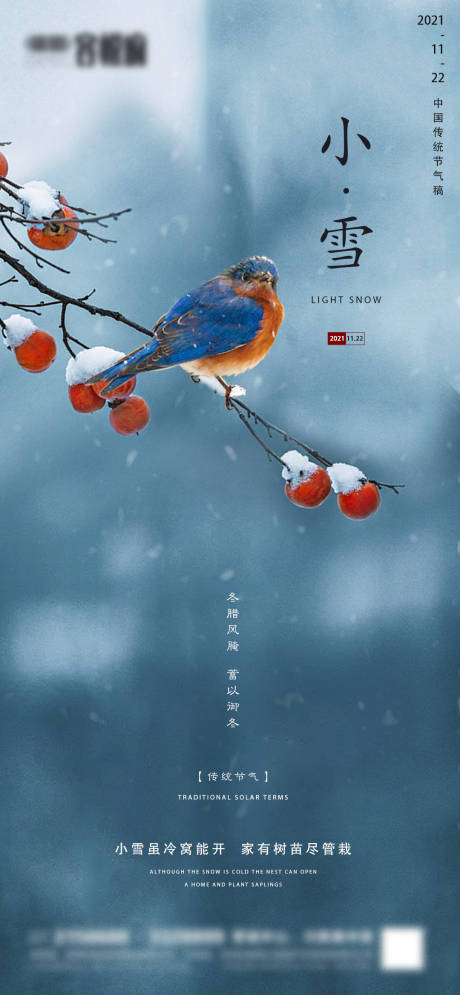 源文件下載【地產小雪節氣海報】編號：19790007175168894