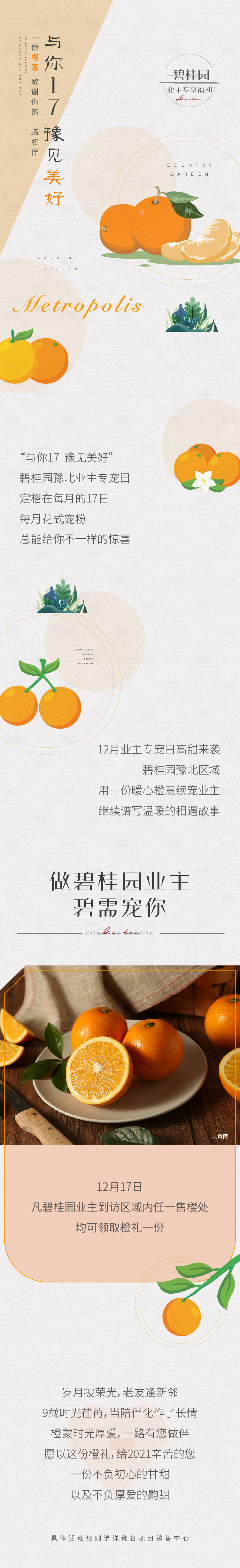 源文件下载【送橙子长图】编号：20211229171403305