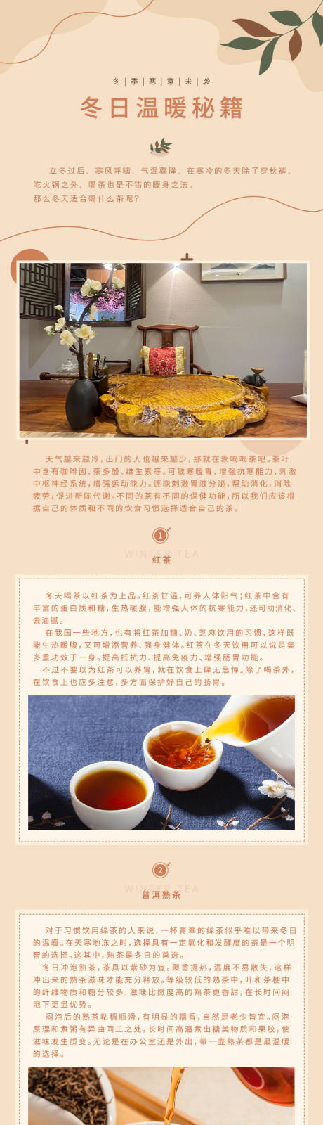 茶叶知识长图