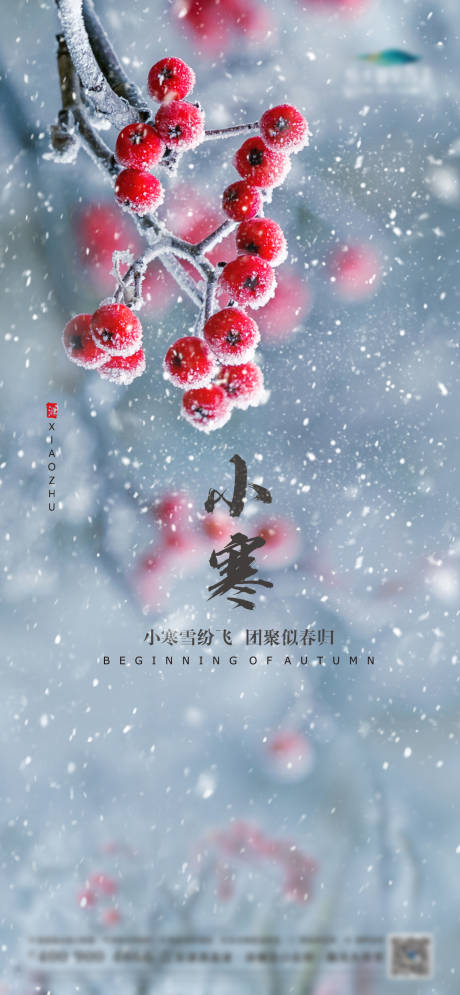 源文件下载【小寒节气海报】编号：40260007774745053
