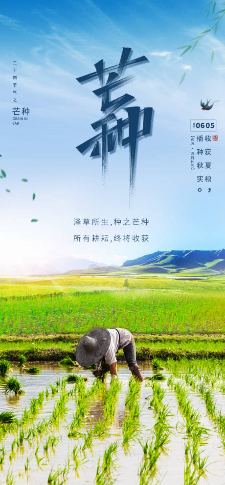 源文件下載【簡約24節氣芒種宣傳海報】編號：72710007583509960