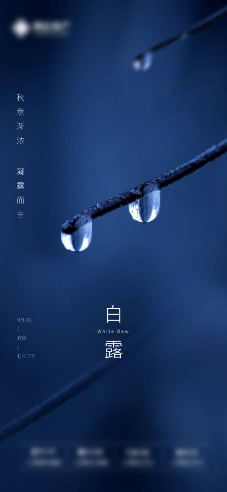 源文件下载【白露】编号：56140007547761638