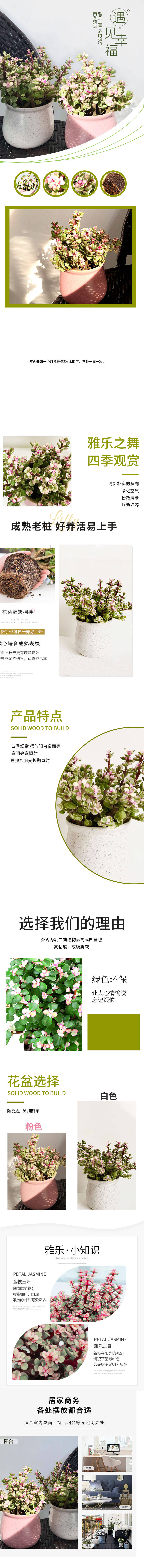 源文件下载【享设计】搜索编号：52530007525114073【电商花卉绿植详情页 】
