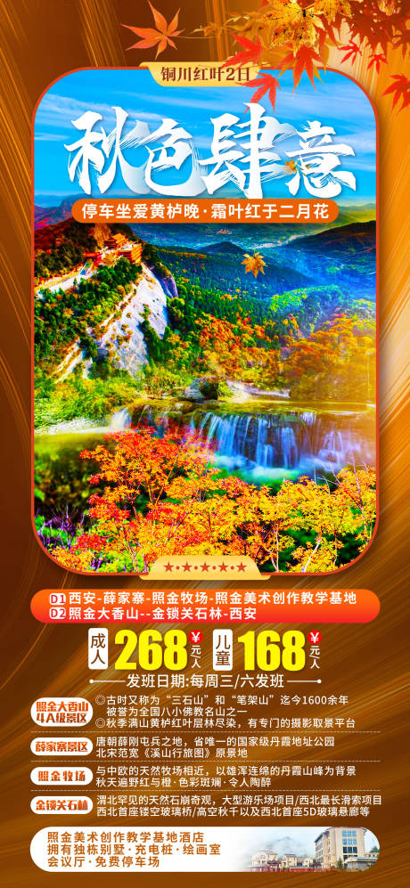 源文件下載【享設(shè)計(jì)】搜索編號(hào)：45500007507424610【秋色肆意】