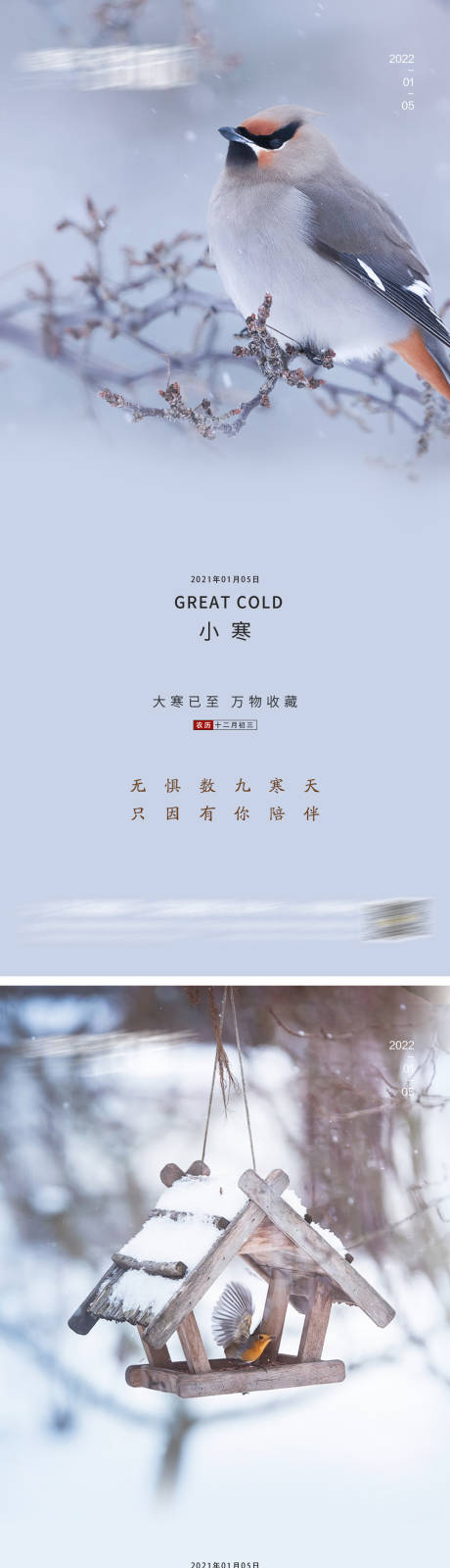 源文件下載【小寒節氣系列海報】編號：22000007894625603