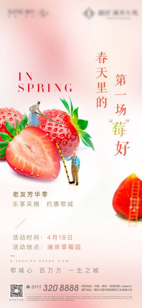 编号：20211201224142165【享设计】源文件下载-春天草莓水果美好活动海报