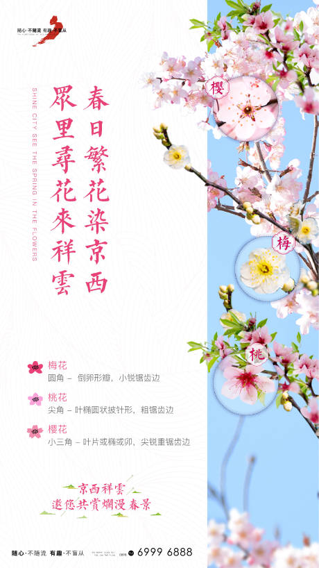 源文件下载【赏花活动海报】编号：98080007618576667