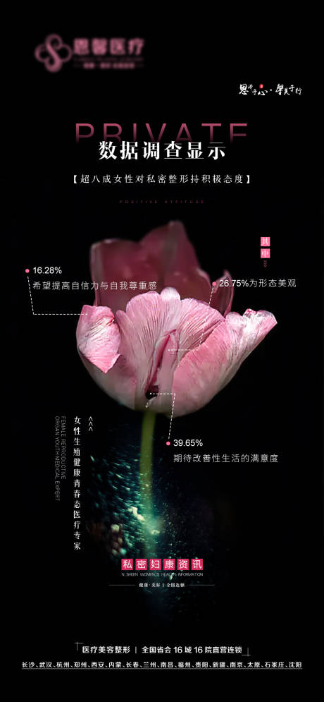 源文件下载【私密数据显示】编号：17650007879342464