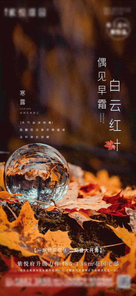 源文件下載【寒露節氣刷屏】編號：72880007523904977