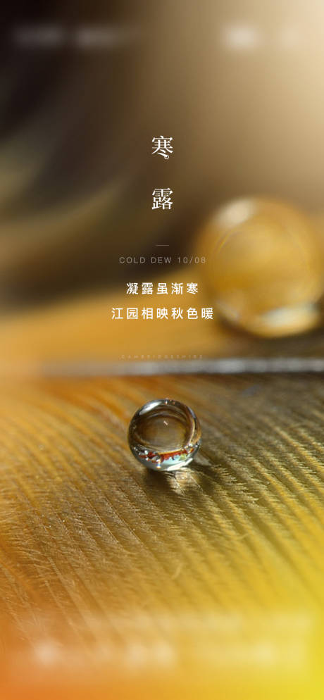 源文件下载【享设计】搜索编号：51530007735981507【寒露节气海报】