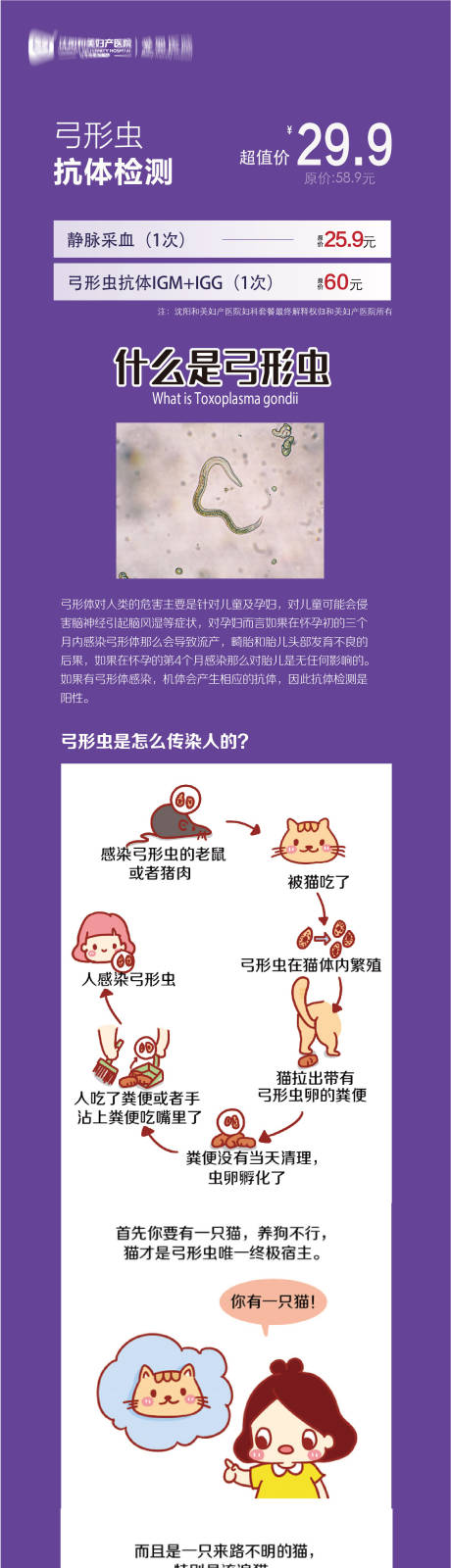 源文件下载【妇产医院弓形虫检测项目介绍电商详情页】编号：71370007816844396