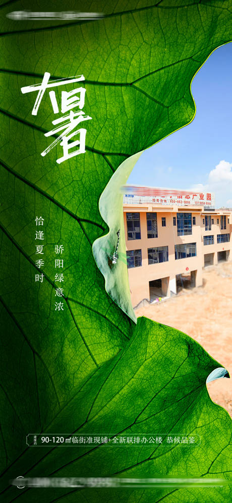 源文件下载【大暑节气地产实景海报】编号：32990005903775301