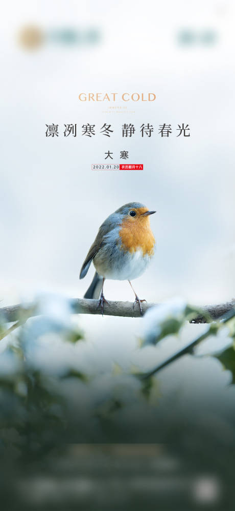 源文件下載【地產大寒立春刷屏】編號：35550008210517077