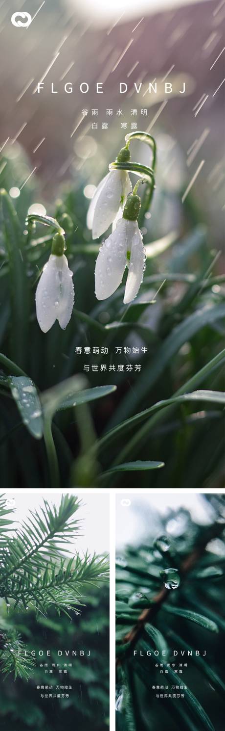 源文件下载【雨水谷雨清明白露寒露系列海报】编号：20220125012339043