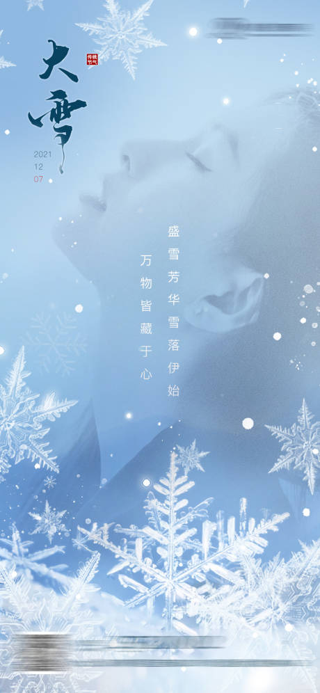 源文件下载【享设计】搜索编号：71420007946417660【大雪海报】