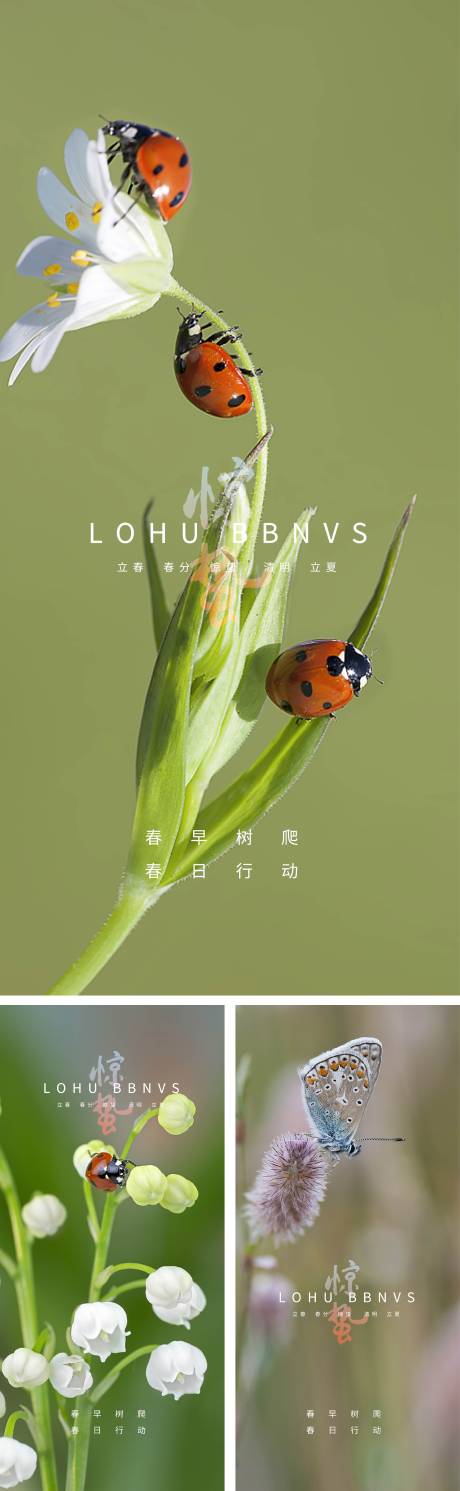 源文件下載【享設(shè)計】搜索編號：87080008254111922【驚蟄立春春分清明立夏夏至微信海報】