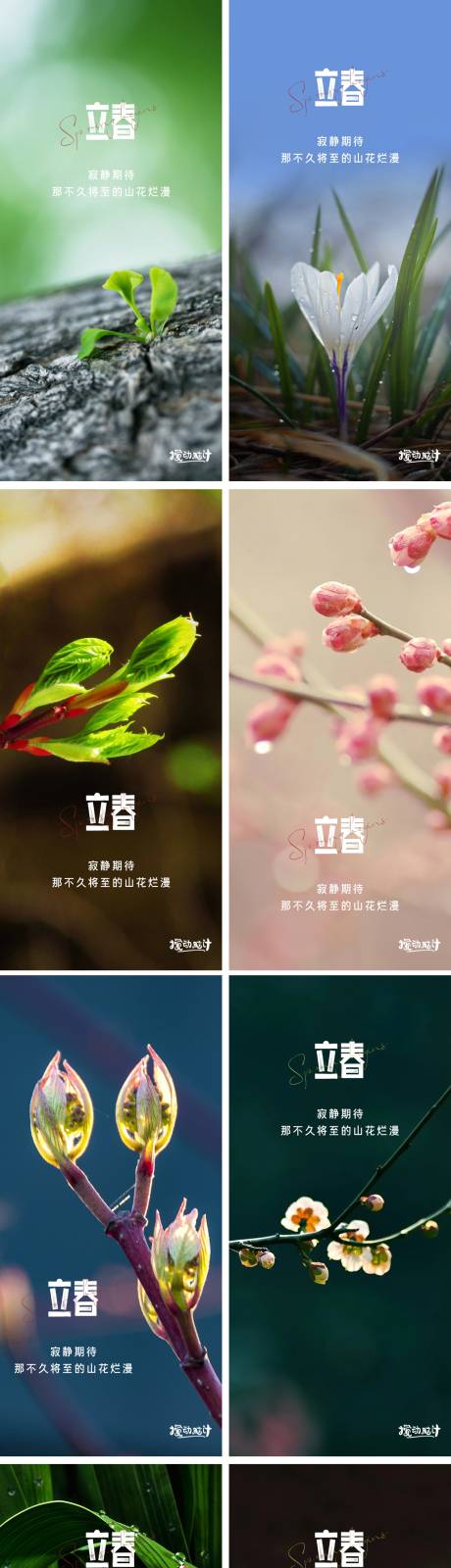 源文件下载【立春海报】编号：67170008038335306