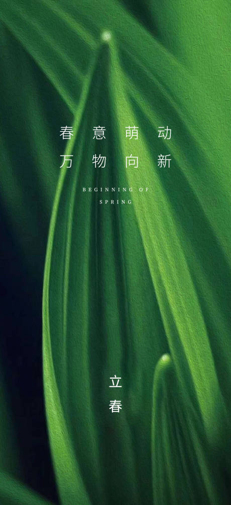 源文件下载【立春海报】编号：87480008078679659