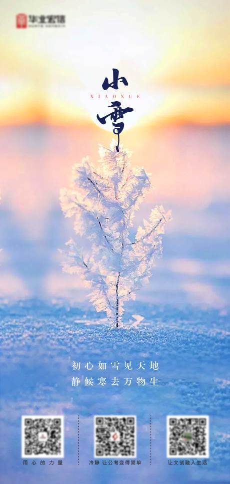 编号：20220117153845303【享设计】源文件下载-小雪节气海报