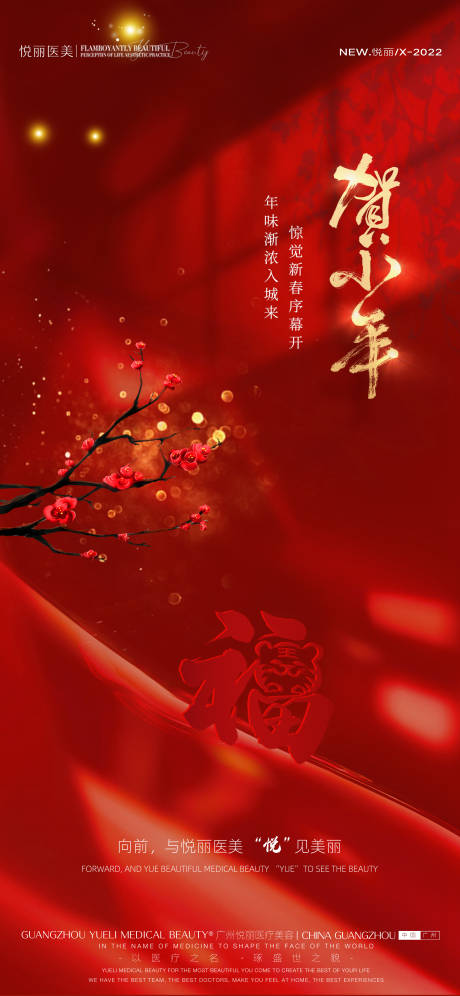 源文件下载【医美春节小年海报】编号：65780008222066149