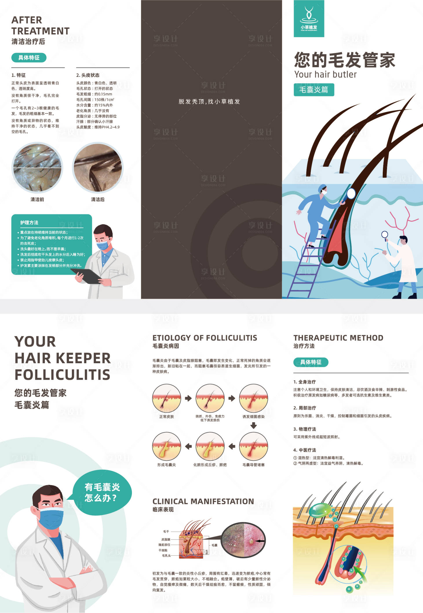 源文件下载【毛囊炎折页设计】编号：50580008227041243