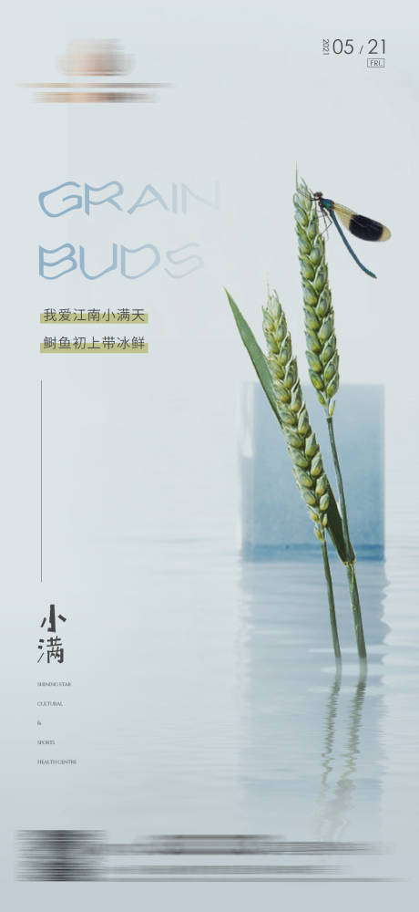 源文件下载【地产小满海报】编号：63420008087704764