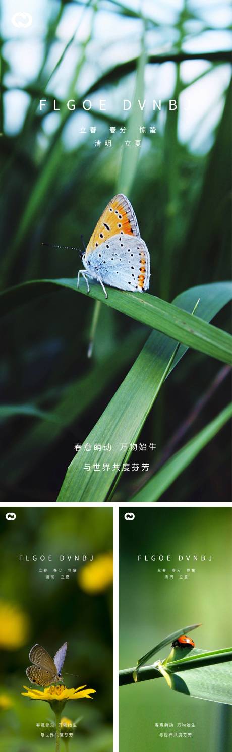 源文件下载【惊蛰立春春分清明立夏系列海报】编号：76060008250329927