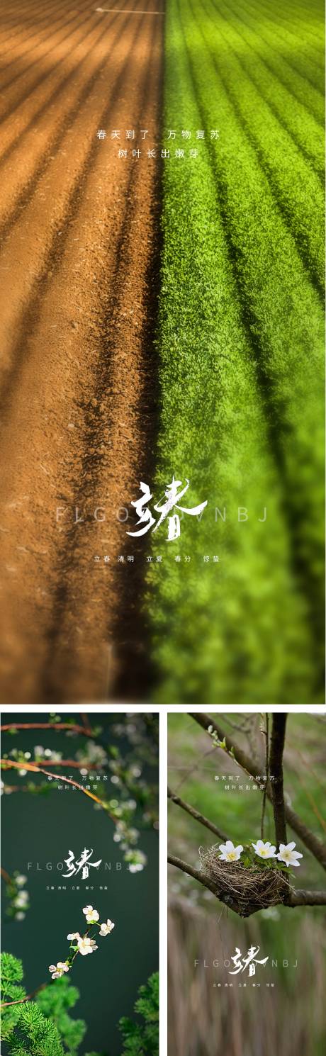 源文件下载【惊蛰立春春分清明立夏夏至微信海报】编号：24550008254058357