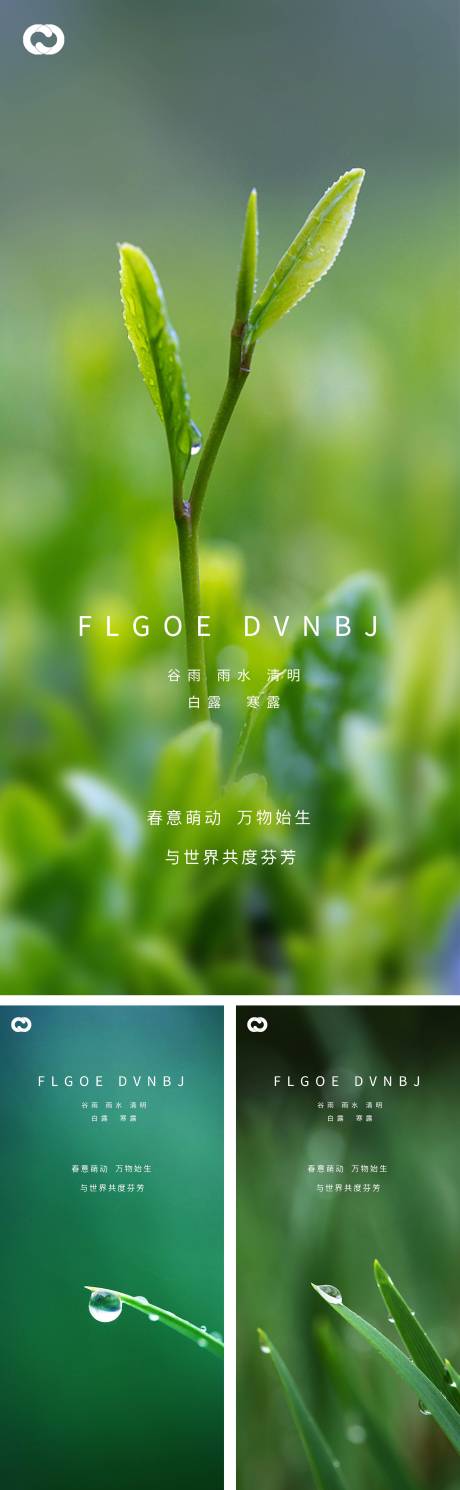 源文件下载【雨水谷雨清明白露寒露系列海报】编号：21430008228929328