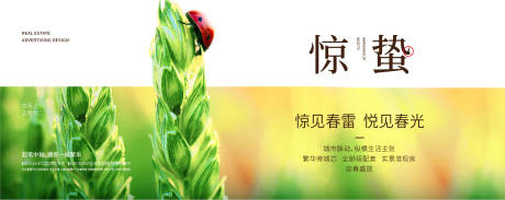 源文件下载【惊蛰节气海报】编号：44230008079638351
