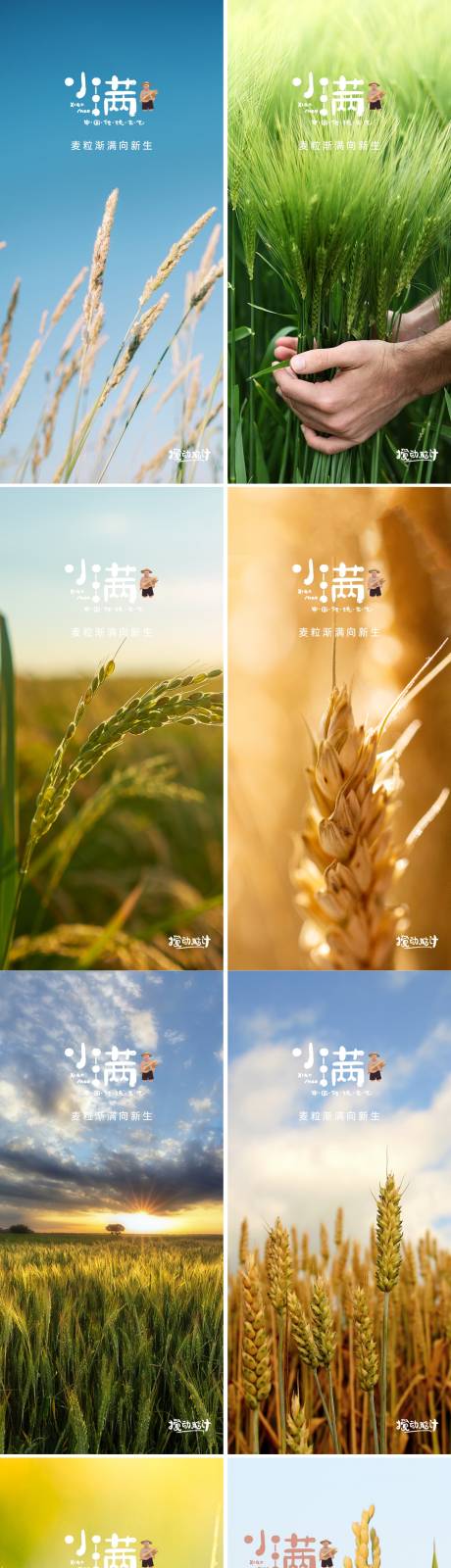 源文件下載【小滿節氣海報】編號：16590008055362023