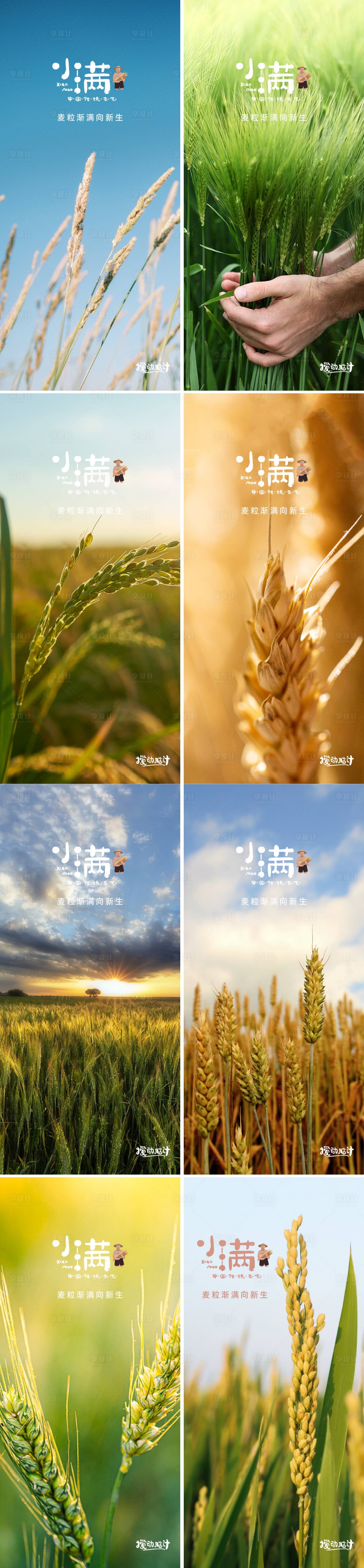 源文件下載【小滿節(jié)氣海報】編號：16590008055362023