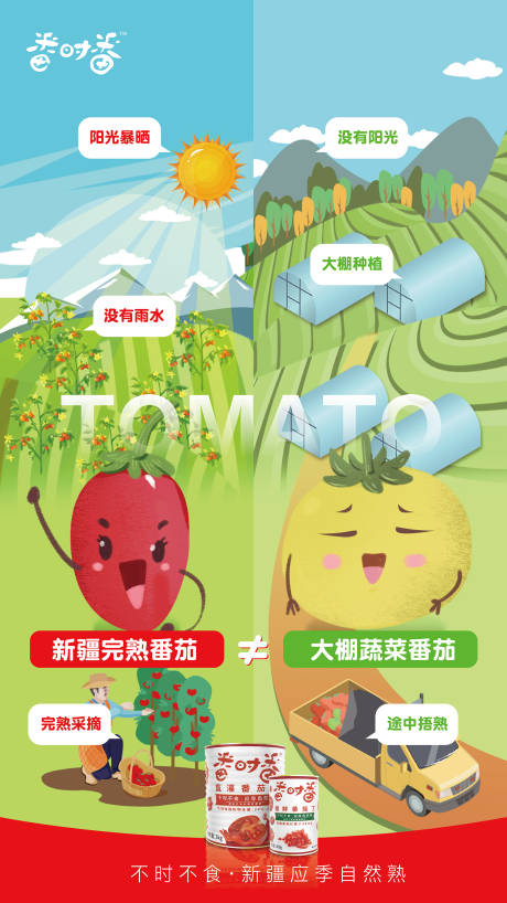 源文件下載【享設計】搜索編號：11060008109782701【番茄有機生產海報】