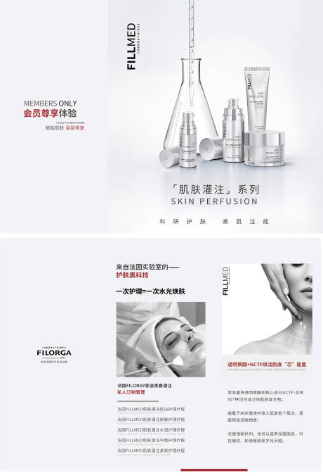 源文件下载【菲洛嘉三折页】编号：53360008243014072