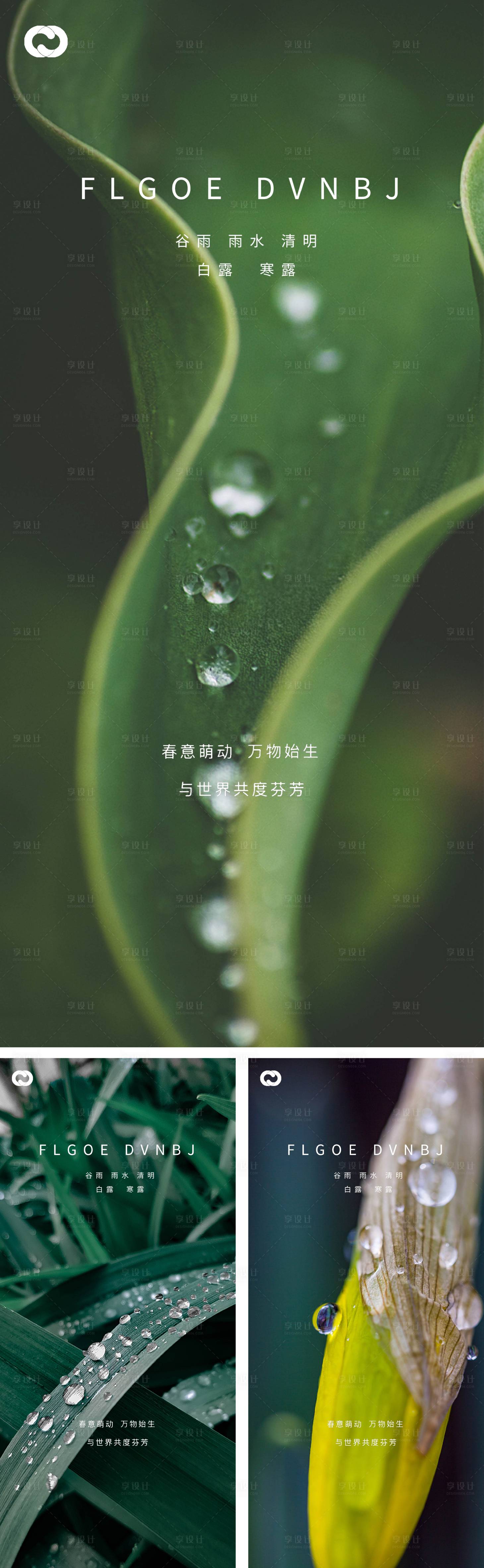 源文件下载【雨水谷雨清明白露寒露系列海报】编号：20220125012308007