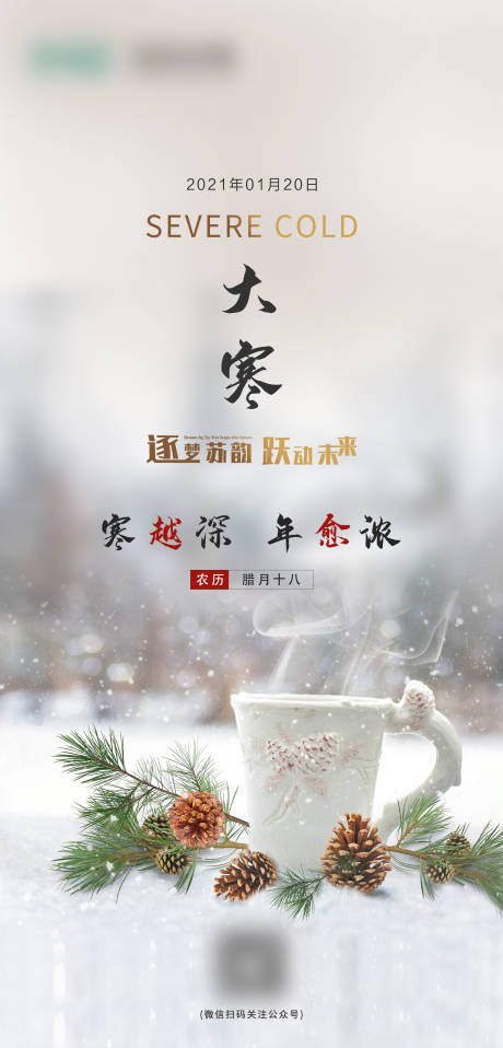 源文件下载【大寒海报】编号：62730008169265278