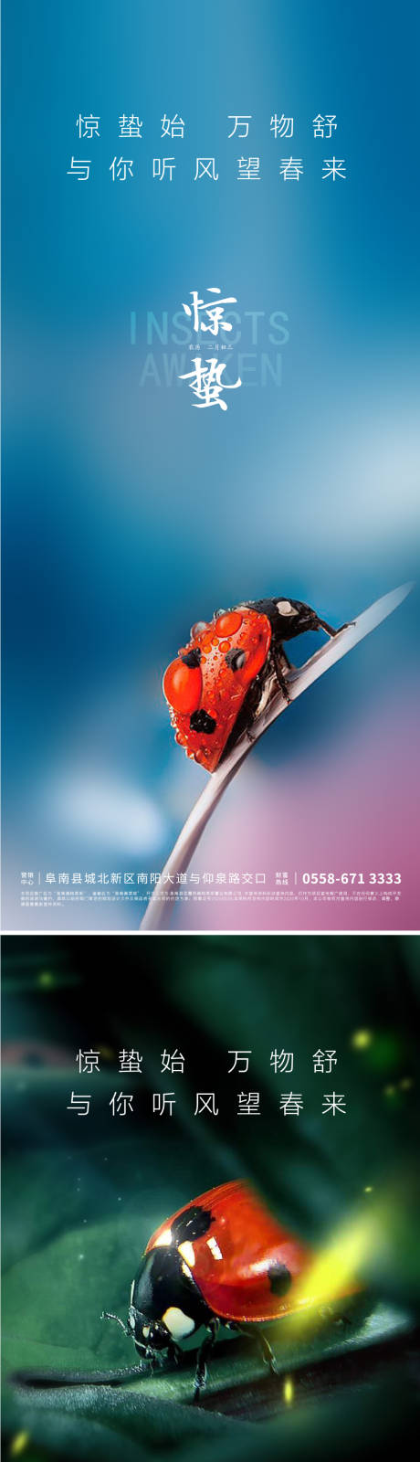 源文件下载【惊蛰海报】编号：85070007926024720