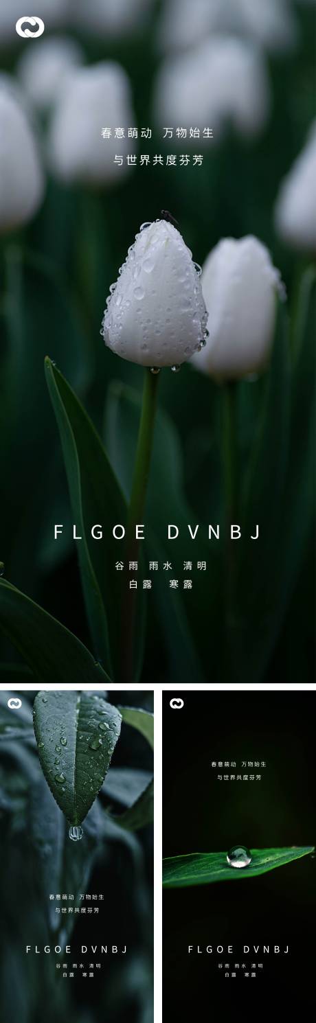 源文件下載【雨水谷雨清明白露寒露系列海報】編號：38900008228934347