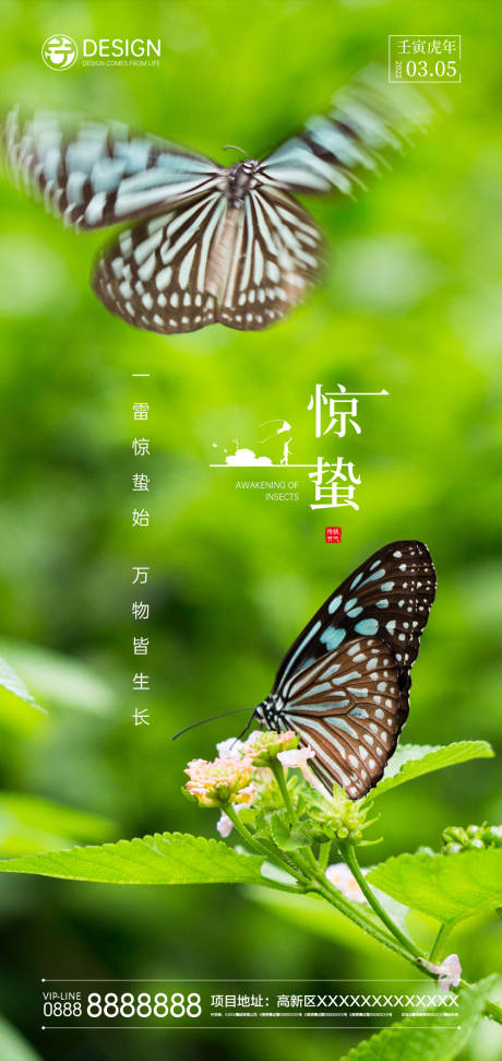 源文件下載【驚蟄節(jié)氣海報】編號：49130008315885790
