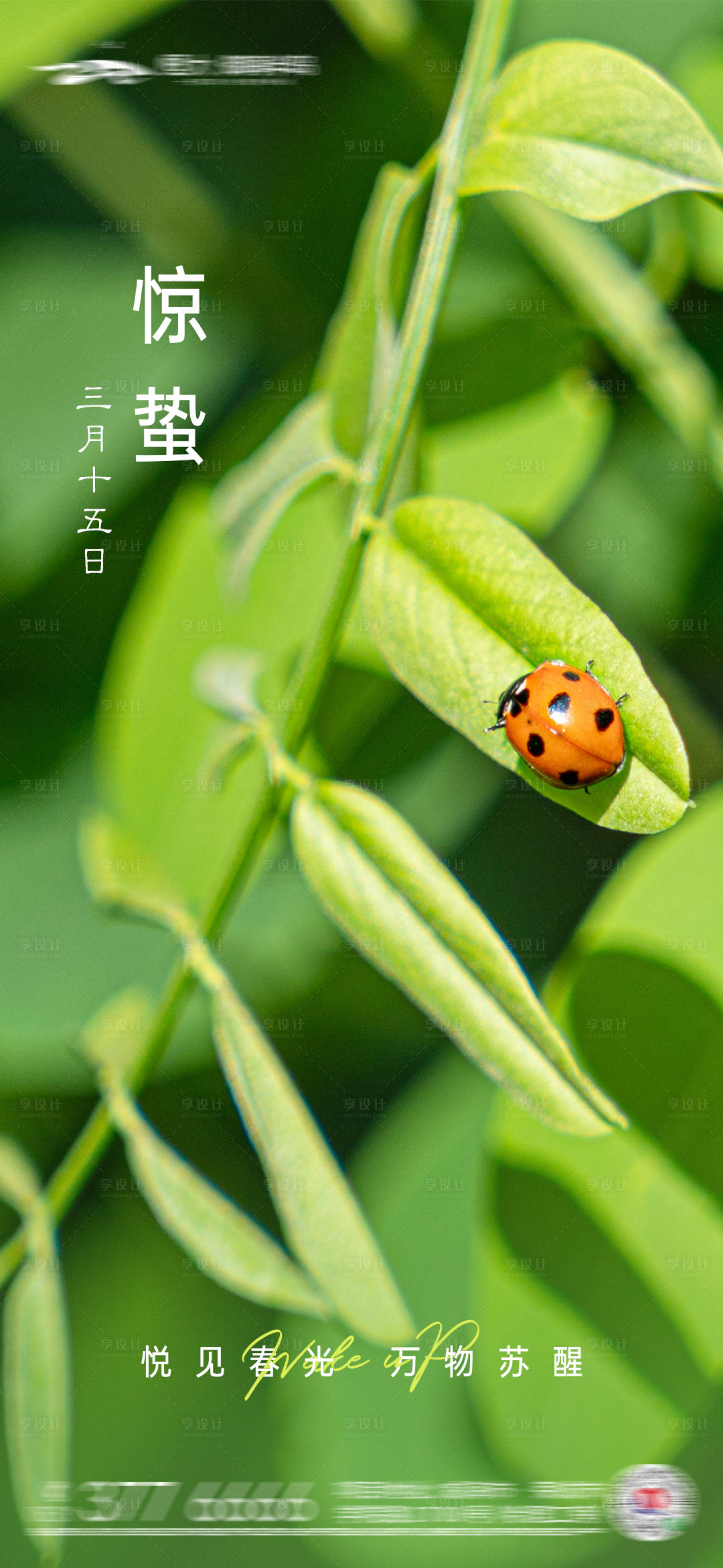 源文件下载【品牌地产惊蛰节气海报】编号：97040008536887498